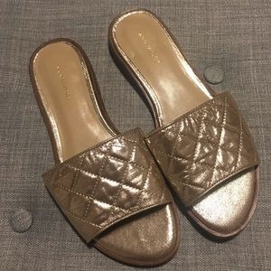 Ann Taylor Lyra Metallic Quilted Slide